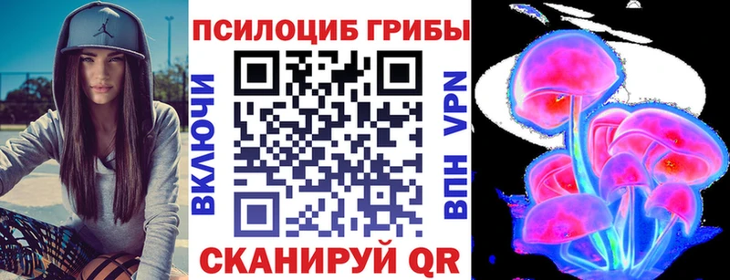 Купить  Верещагино  Псилоцибиновые грибы мицелий 